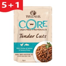 Wellness Core Tender Cuts Fillets Κοτόπουλο & Σολομό σε σάλτσα 85gr