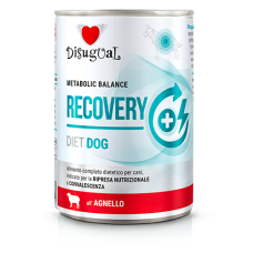 Disugual Diet Dog - Recovery Με Αρνί