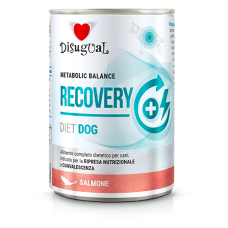 Disugual Diet Dog - Recovery Με Σολομό