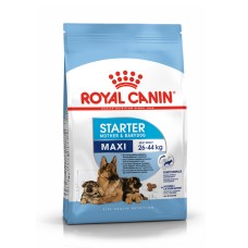 Royal Canin Maxi Starter 4kg