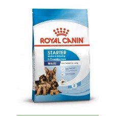 Royal Canin Maxi Starter 15kg