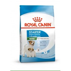 Royal Canin Mini Starter 1kg