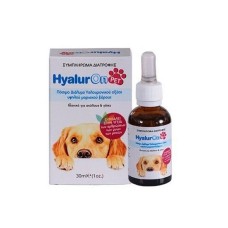 HyalurOn Pet Πόσιμο Διάλυμα Υαλουρονικού Οξέος για Σκύλους & Γάτες, 30ml