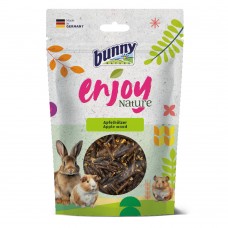 Bunny Enjoy NaTure Nibble Fun Ξύλο Μηλιάς 100gr 